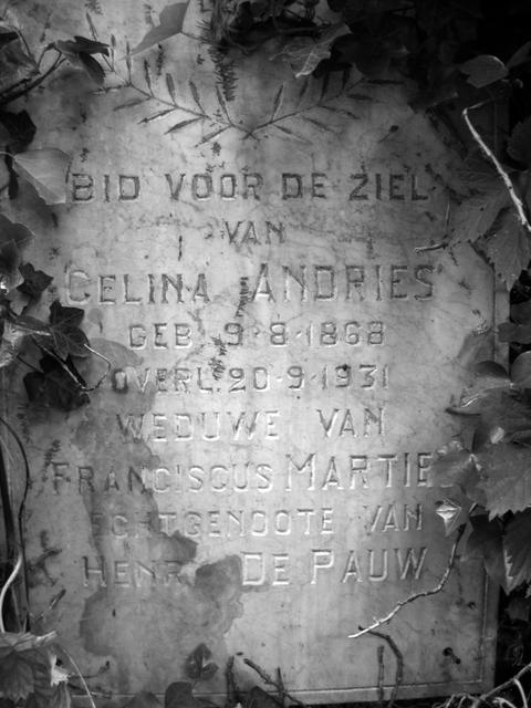 Image of the gravestone